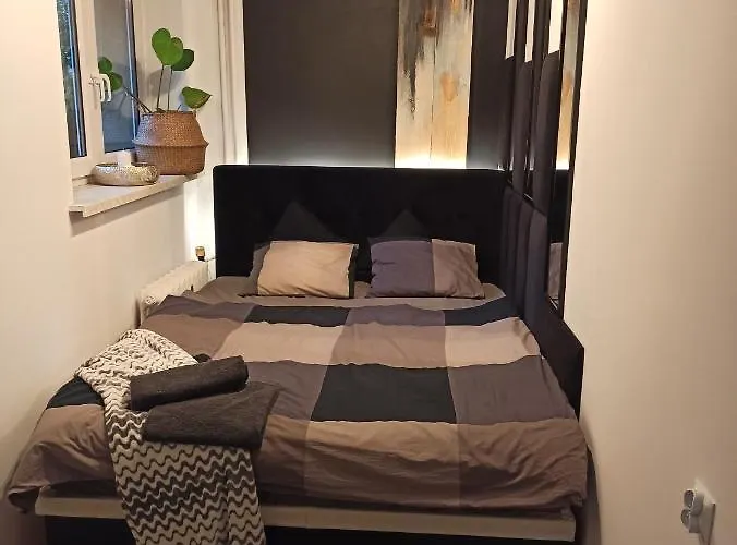 Park Slaski Katowice/chorzow שורזוב