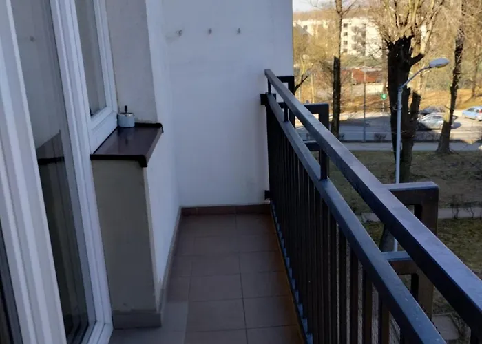 Park Slaski Katowice/chorzow